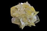 Twinned Selenite Crystals (Fluorescent) - Red River Floodway #154405-1